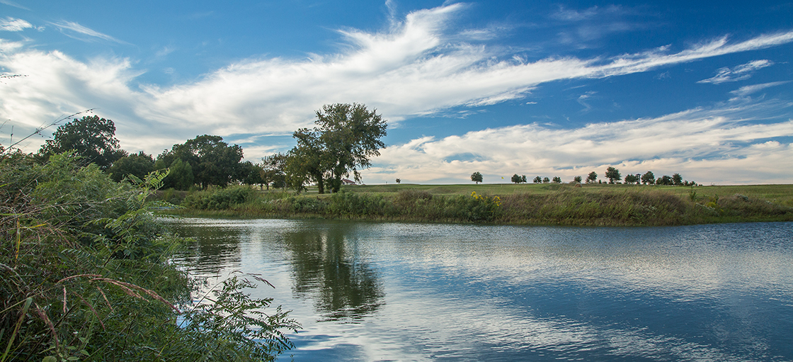 Pond over golf course